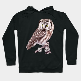 Tengmalm's Owl Hoodie